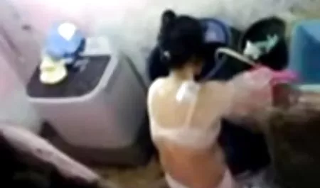 BBW لیزا: سکس برازرس زوری 3 در 1
