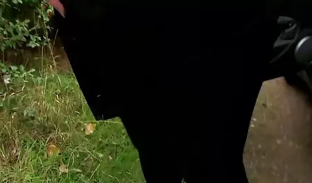 لوسی خوشگل خوش تیپ سوار دیک فیلم سکسی کمپانی برازرس می شود